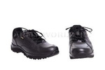 Police Shoes Haix Dakota Low Gore-Tex Black Model 2 New II Quality